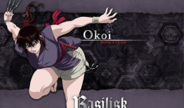 甲贺忍法帖动漫,暗影中的忍者传奇