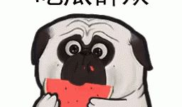 搞笑吃瓜大爆料图片大全,带你领略网络幽默盛宴